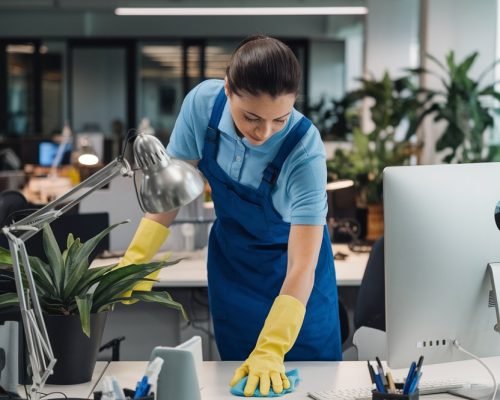 a-photo-of-a-professional-cleaner-wearin_6KEPppw6Tv-fqtw_lB5YSw_oeMtDireQnKoTVLgv8-hEQ (1)